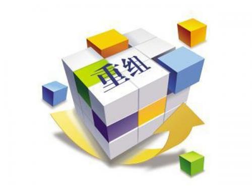 Merger and reorganization